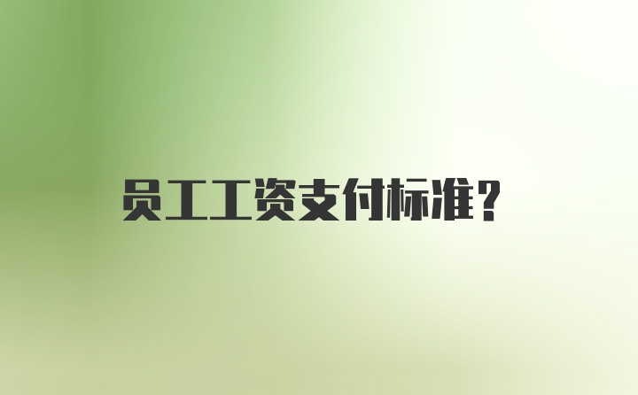 员工工资支付标准？