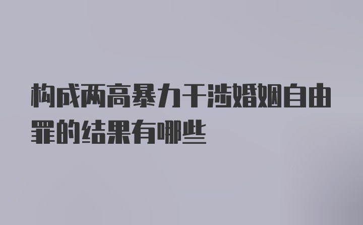 构成两高暴力干涉婚姻自由罪的结果有哪些