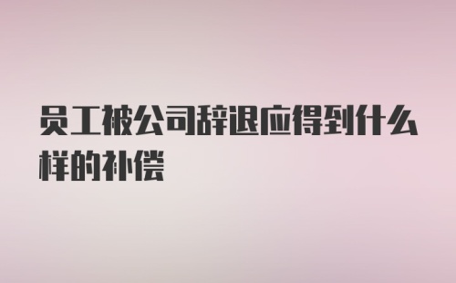 员工被公司辞退应得到什么样的补偿