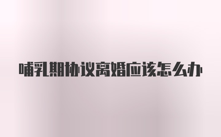 哺乳期协议离婚应该怎么办