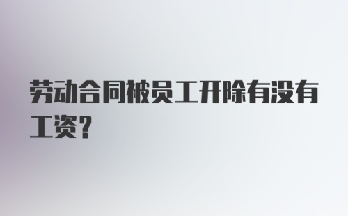 劳动合同被员工开除有没有工资？