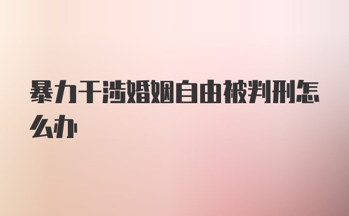 暴力干涉婚姻自由被判刑怎么办