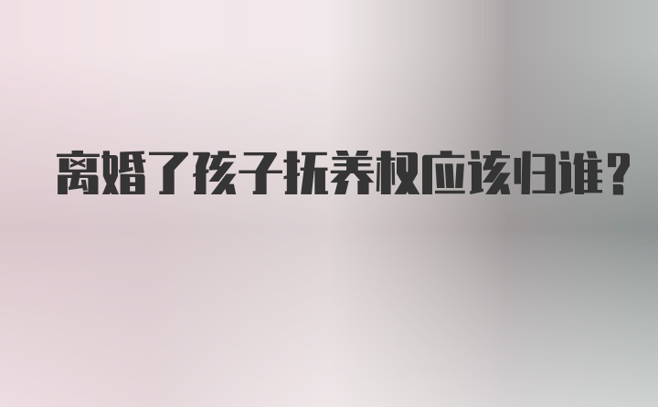 离婚了孩子抚养权应该归谁？