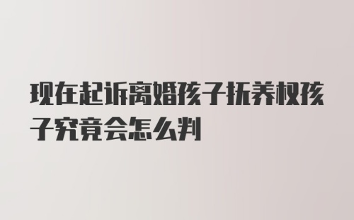 现在起诉离婚孩子抚养权孩子究竟会怎么判