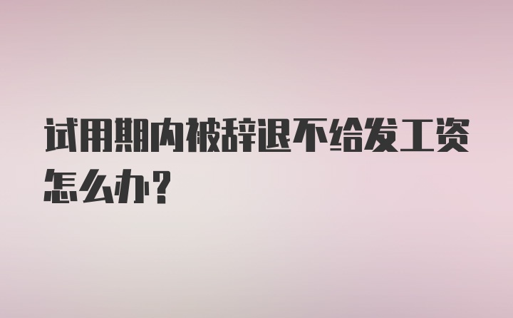 试用期内被辞退不给发工资怎么办？