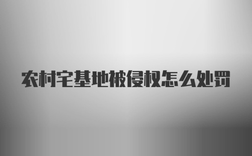 农村宅基地被侵权怎么处罚