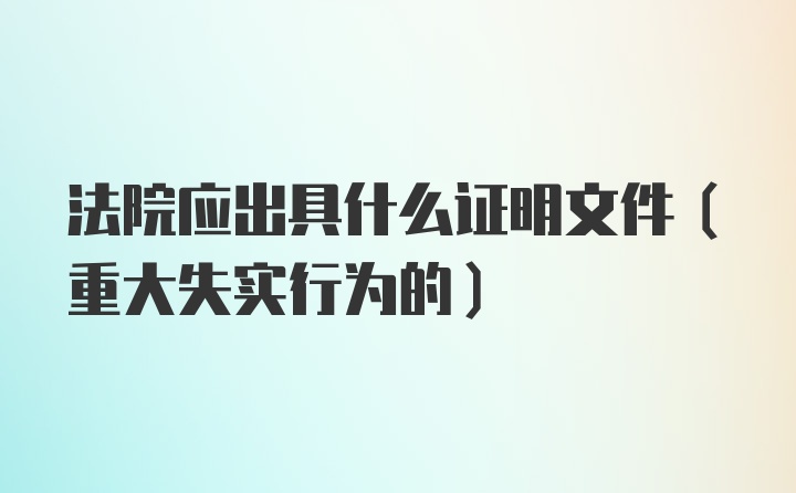 法院应出具什么证明文件（重大失实行为的）