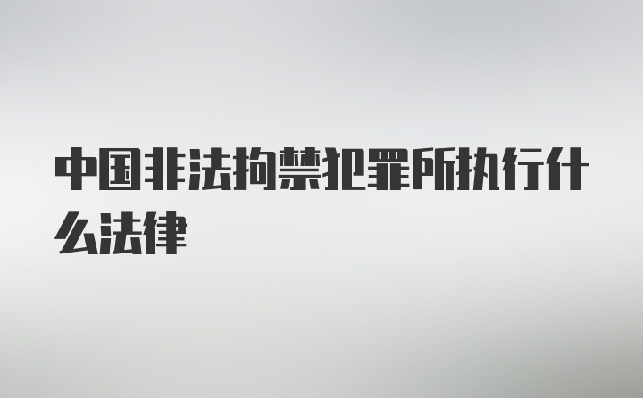 中国非法拘禁犯罪所执行什么法律