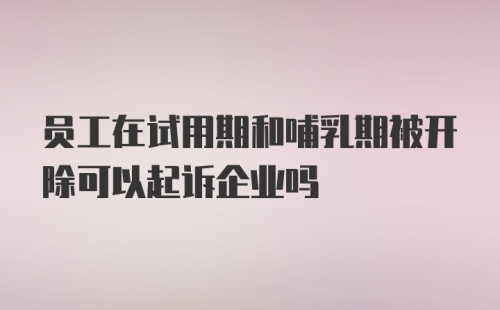 员工在试用期和哺乳期被开除可以起诉企业吗