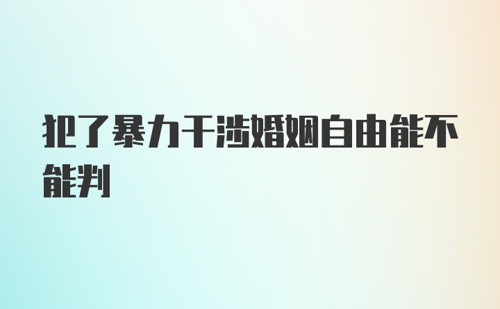 犯了暴力干涉婚姻自由能不能判