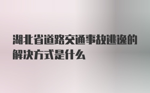 湖北省道路交通事故逃逸的解决方式是什么