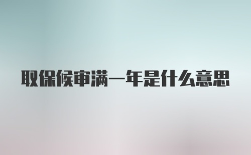 取保候审满一年是什么意思