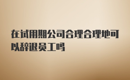 在试用期公司合理合理地可以辞退员工吗