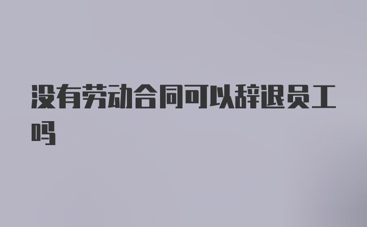 没有劳动合同可以辞退员工吗