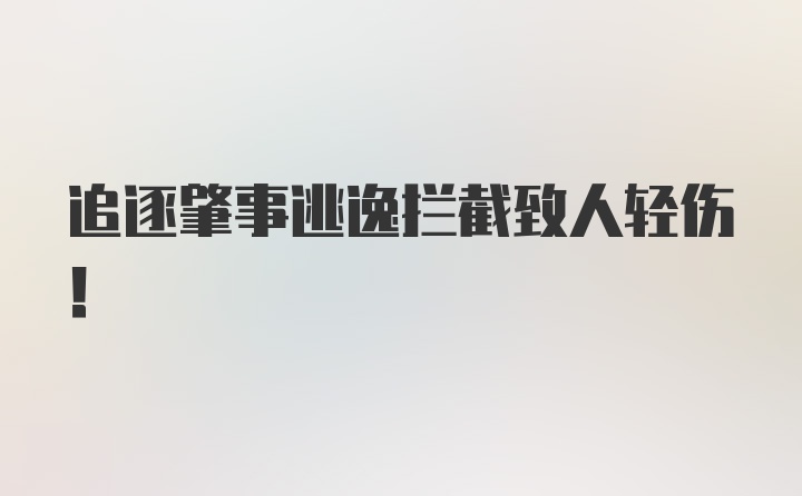 追逐肇事逃逸拦截致人轻伤！