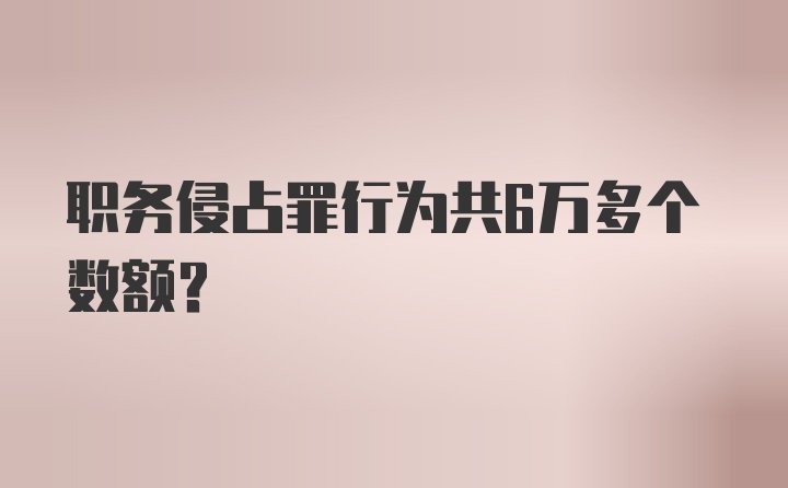 职务侵占罪行为共6万多个数额？