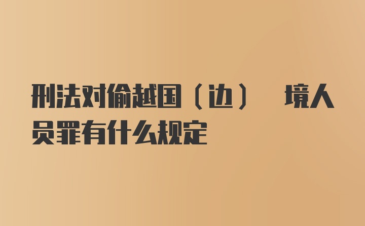 刑法对偷越国(边) 境人员罪有什么规定