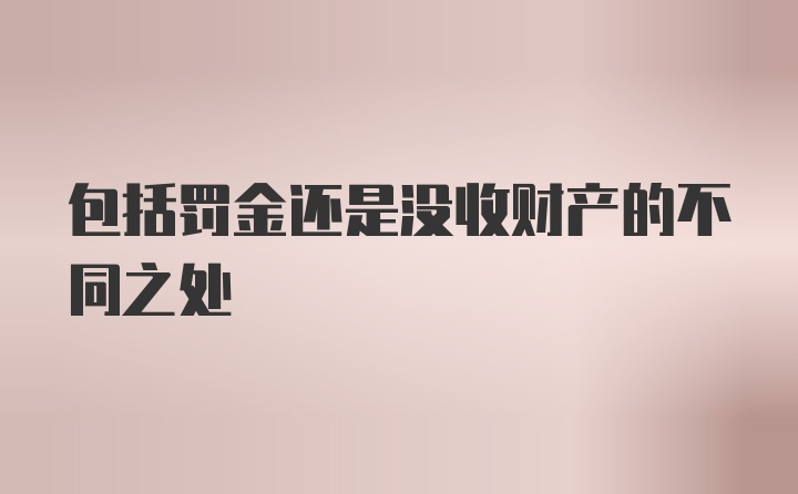 包括罚金还是没收财产的不同之处