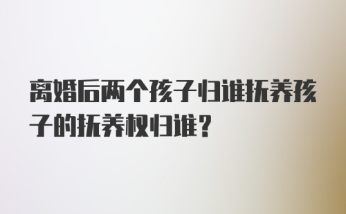 离婚后两个孩子归谁抚养孩子的抚养权归谁？