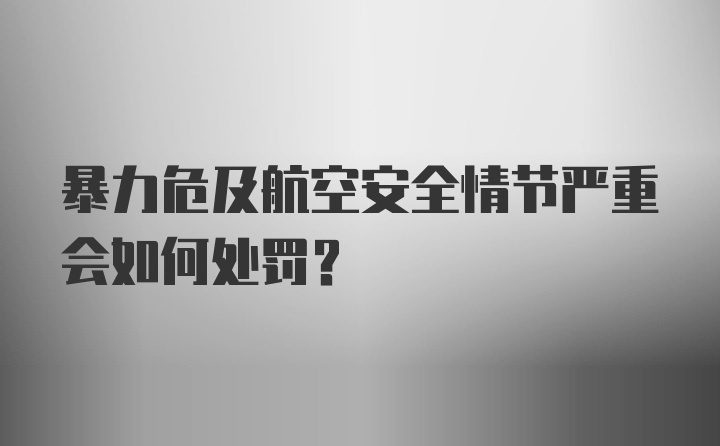 暴力危及航空安全情节严重会如何处罚？