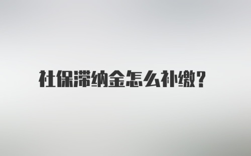 社保滞纳金怎么补缴？