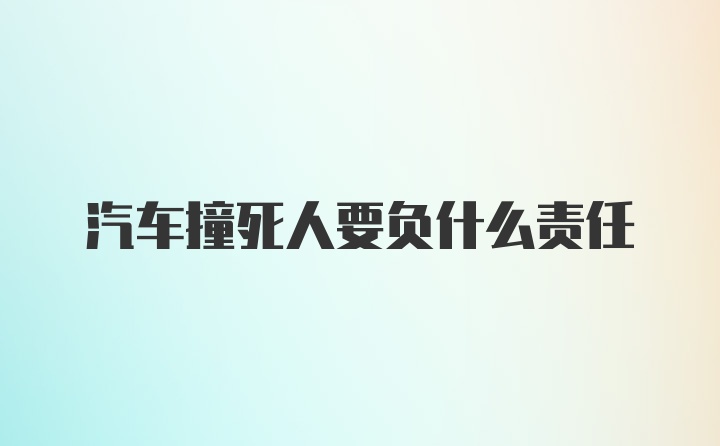 汽车撞死人要负什么责任