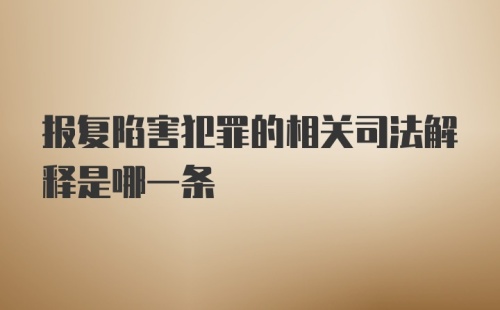 报复陷害犯罪的相关司法解释是哪一条