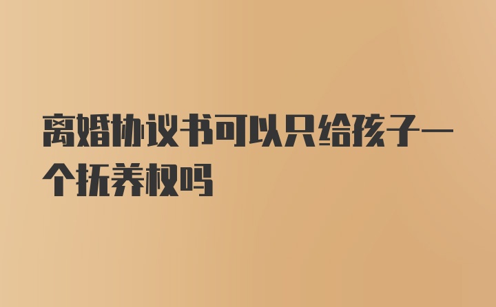 离婚协议书可以只给孩子一个抚养权吗