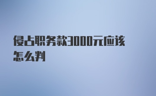 侵占职务款3000元应该怎么判