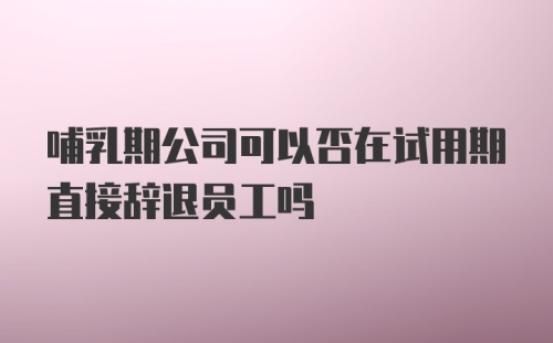 哺乳期公司可以否在试用期直接辞退员工吗