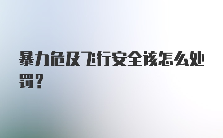 暴力危及飞行安全该怎么处罚？