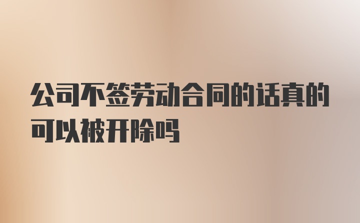 公司不签劳动合同的话真的可以被开除吗