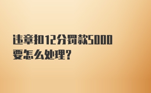 违章扣12分罚款5000要怎么处理？