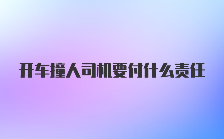 开车撞人司机要付什么责任