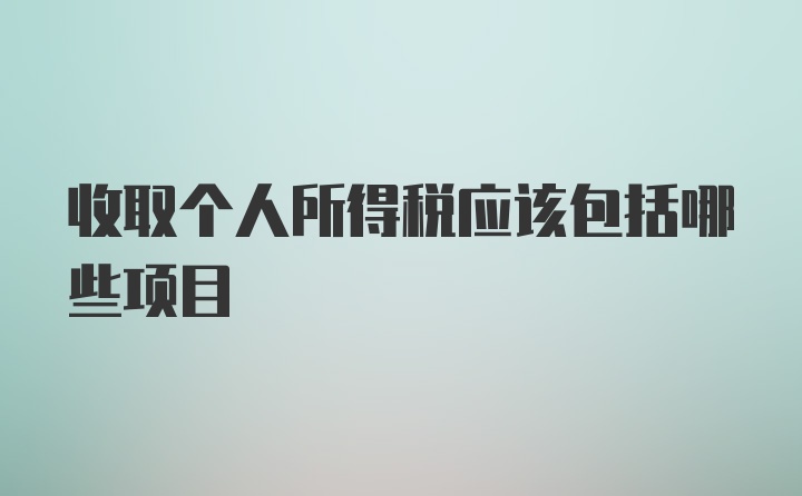 收取个人所得税应该包括哪些项目