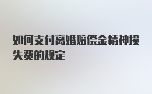 如何支付离婚赔偿金精神损失费的规定