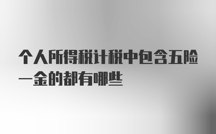 个人所得税计税中包含五险一金的都有哪些