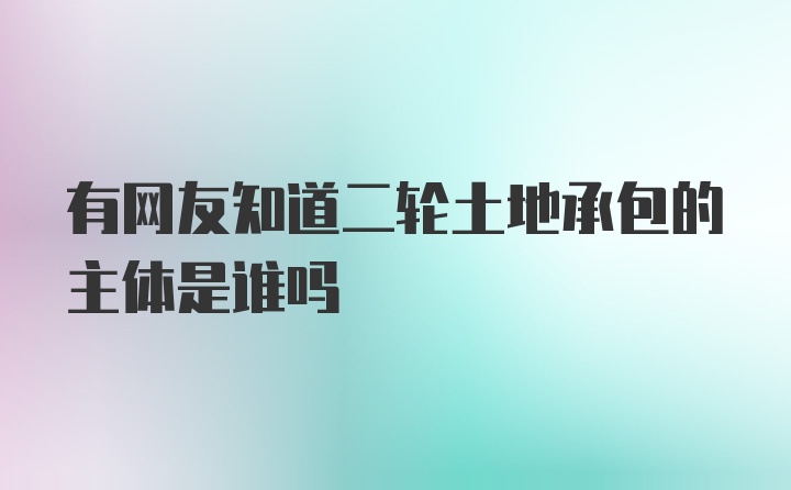 有网友知道二轮土地承包的主体是谁吗