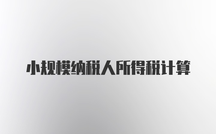 小规模纳税人所得税计算