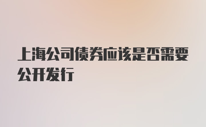 上海公司债券应该是否需要公开发行