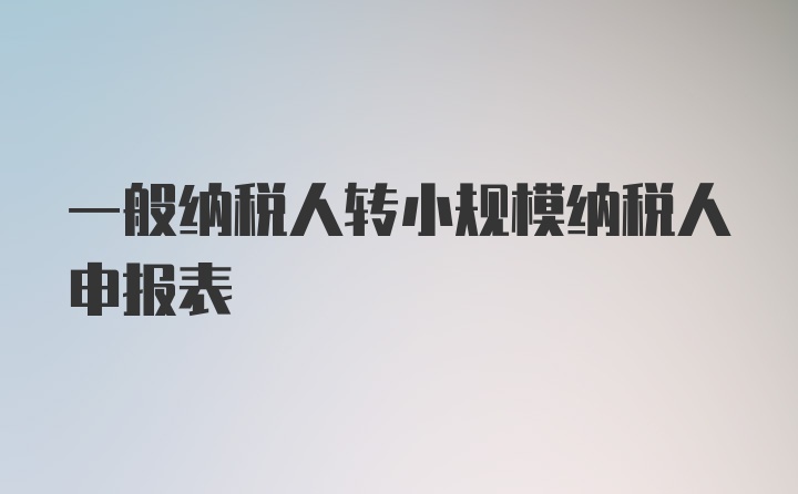 一般纳税人转小规模纳税人申报表