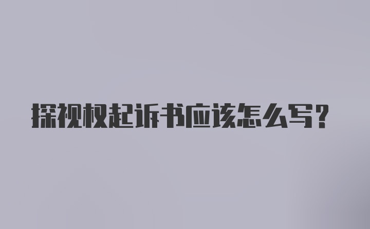 探视权起诉书应该怎么写?