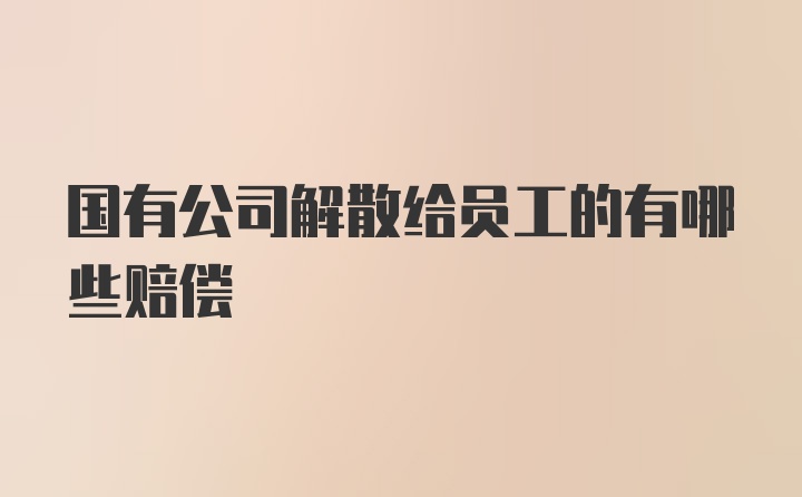 国有公司解散给员工的有哪些赔偿