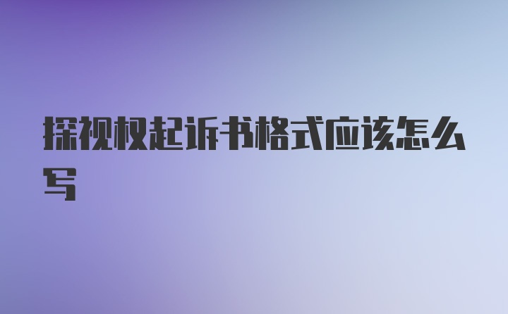 探视权起诉书格式应该怎么写