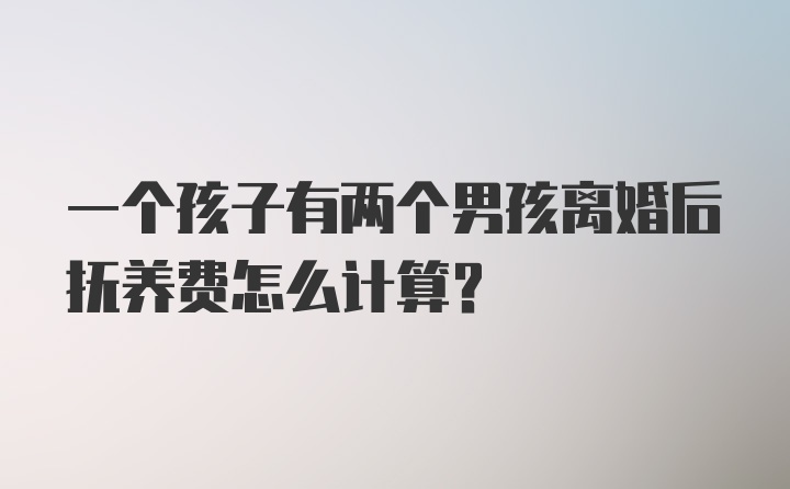 一个孩子有两个男孩离婚后抚养费怎么计算？