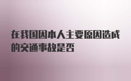 在我国因本人主要原因造成的交通事故是否