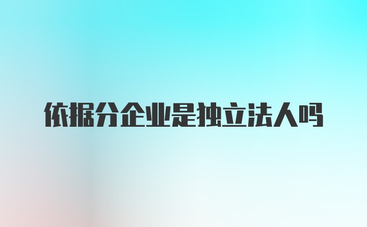 依据分企业是独立法人吗