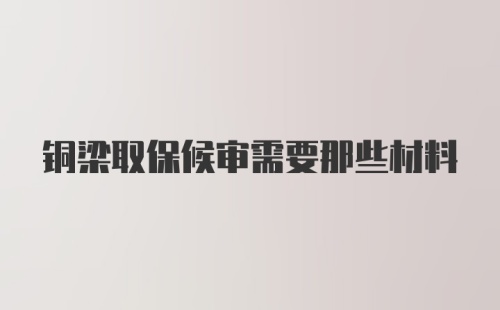 铜梁取保候审需要那些材料