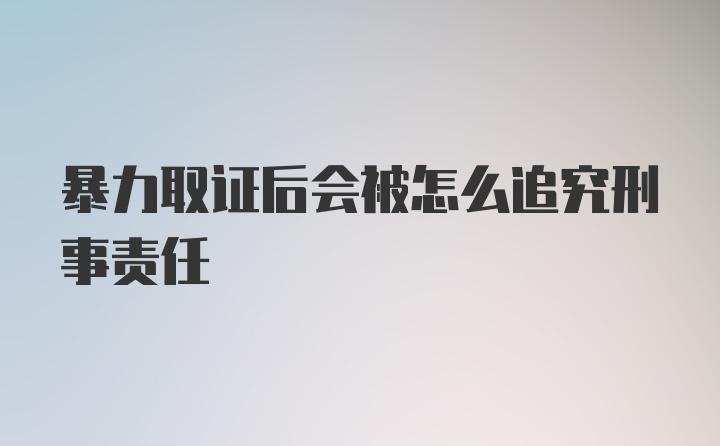 暴力取证后会被怎么追究刑事责任