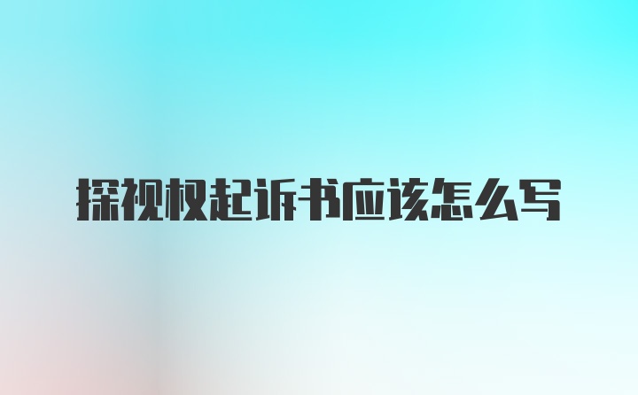 探视权起诉书应该怎么写